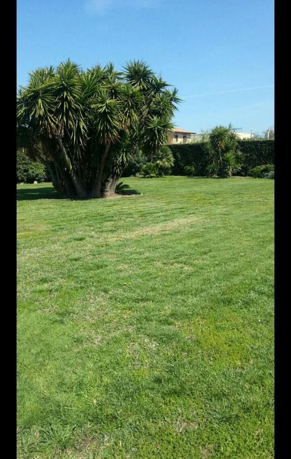 Speedy Green Collection Apartment Fiumicino Exterior photo